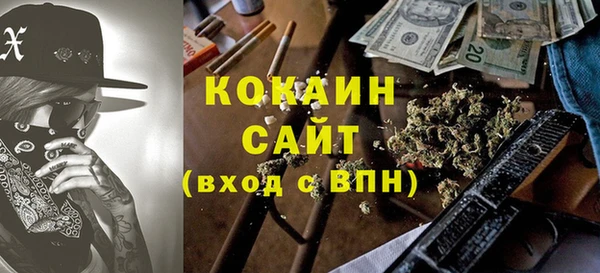 тгк Богородицк
