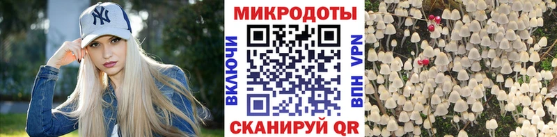 Купить где  Новая Ладога  Галлюциногенные грибы Magic Shrooms 