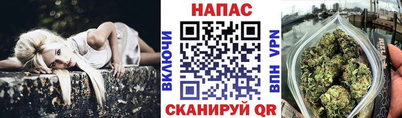 МАРИХУАНА гибрид  Купить где  Новая Ладога 